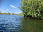 caption (18).jpg